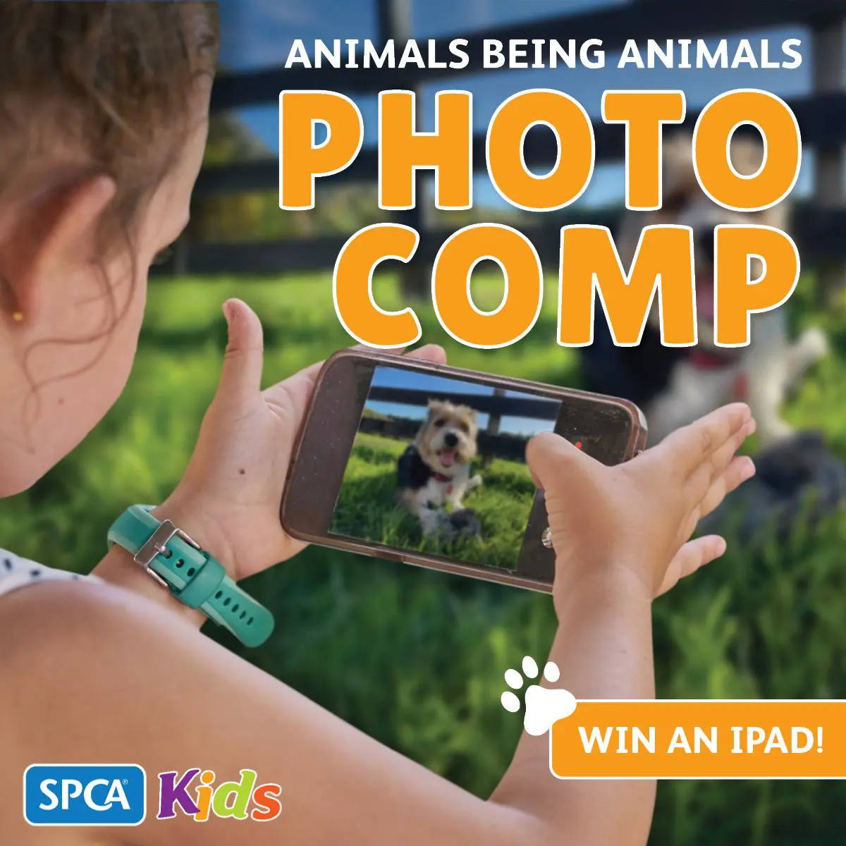 spca kind matters photography competition poster